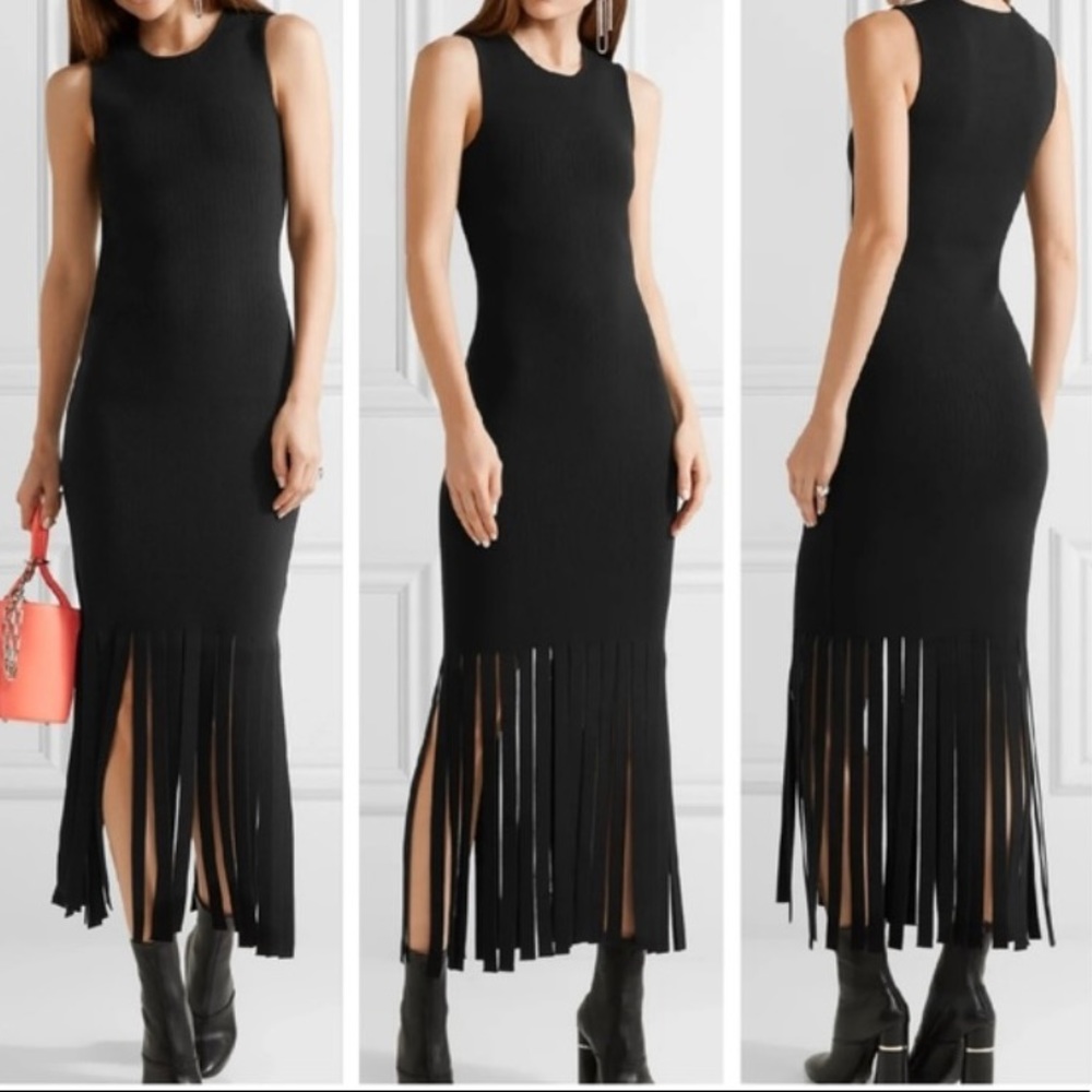 Alexander Wang Fringe Bottom Bodycon Midi Dress Runway